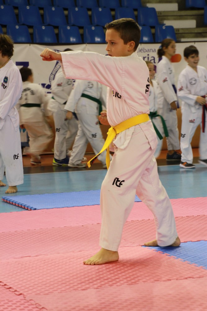 Taekwondo Dic 2016 (180).jpg